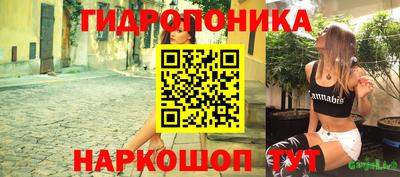 эйфоретик Кингисепп