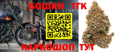 эйфоретик Кингисепп