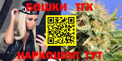 эйфоретик Кингисепп