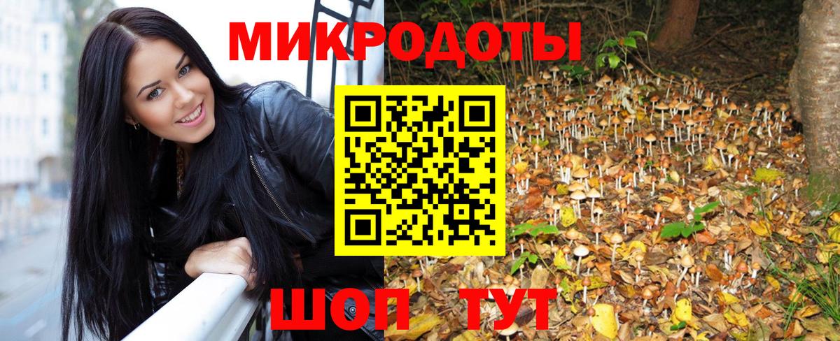 Галлюциногенные грибы прущие грибы Курчалой